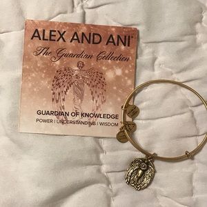 Alex and Ani Guardian of Knowledge